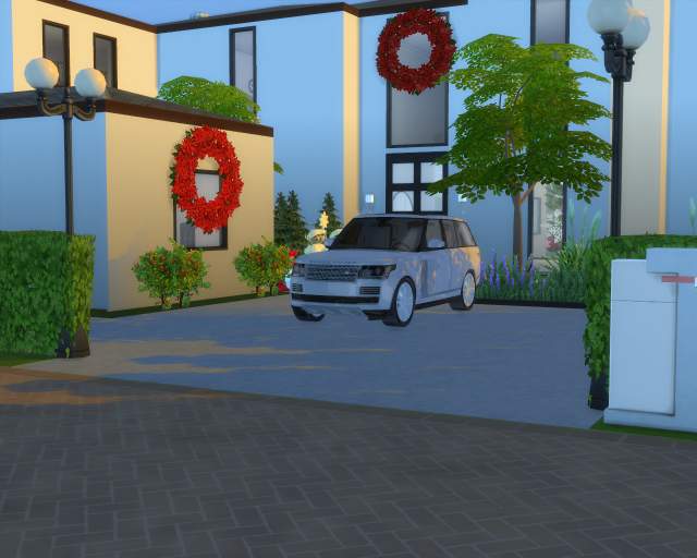 Christmas Decorations