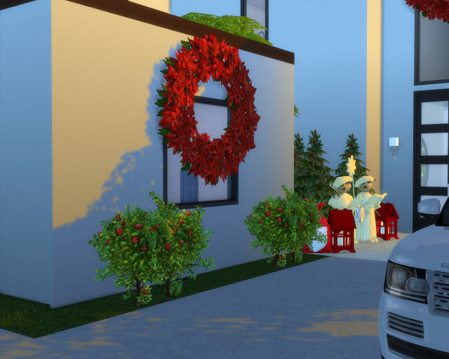 Christmas Decorations